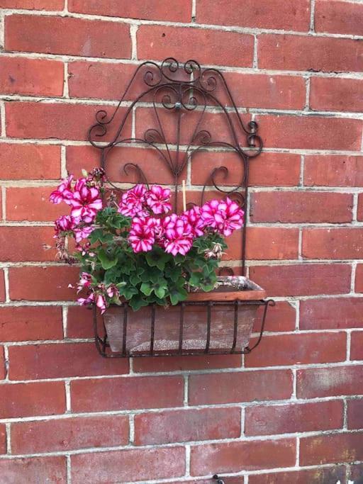 Brook Lodge Garden Flat Swanage Buitenkant foto